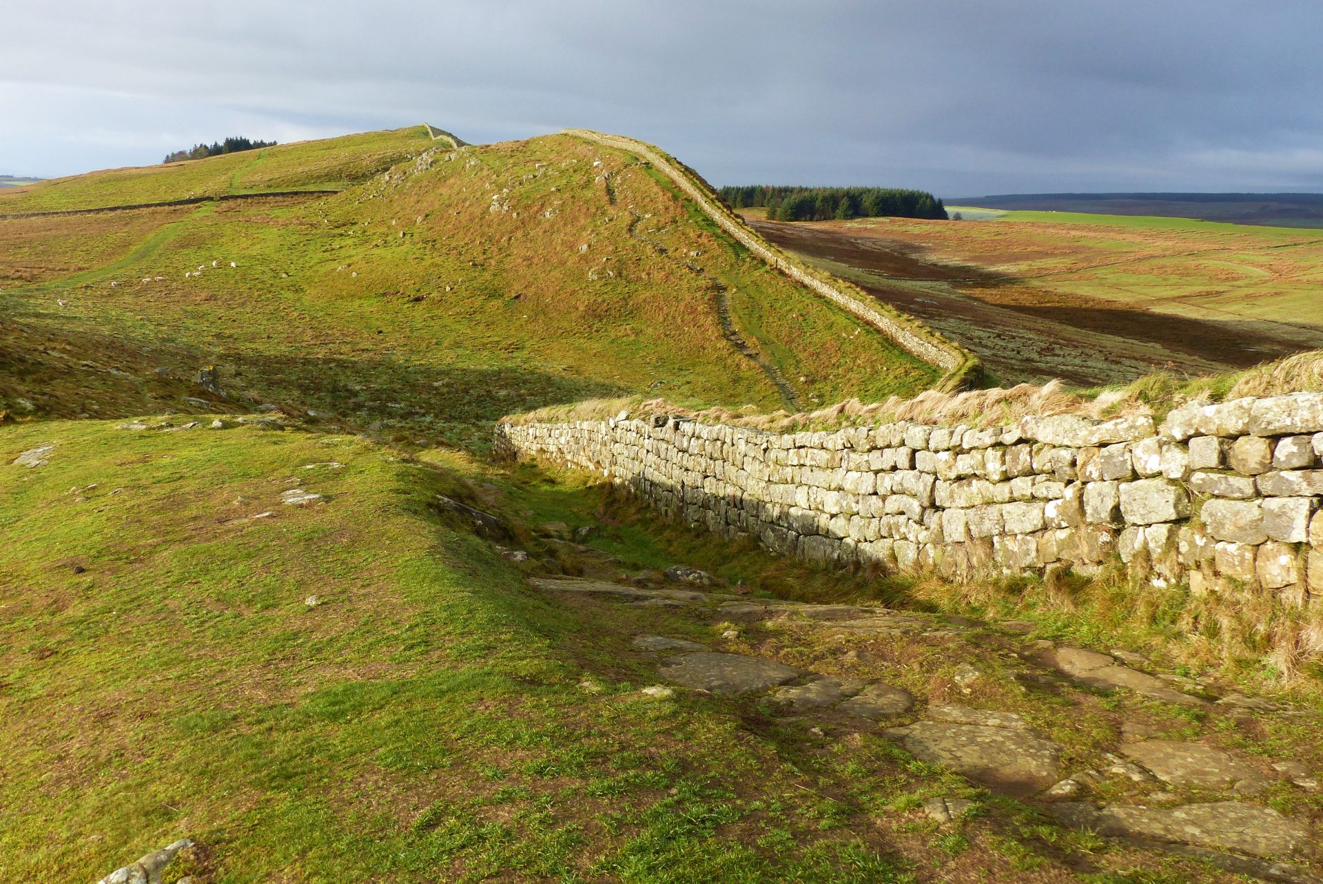 Cuddy's Crag